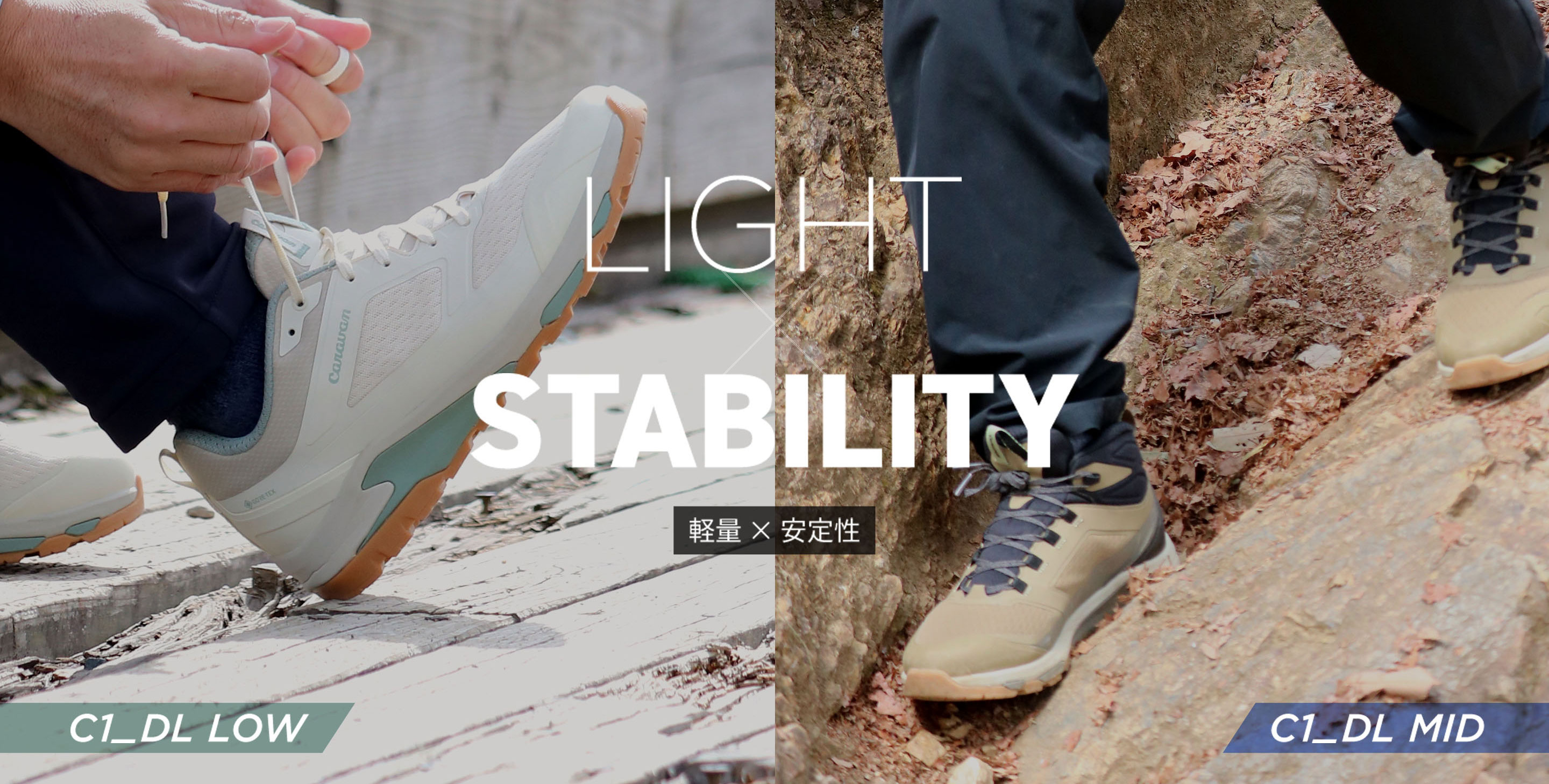 C1_DL LOW/MID イメージ