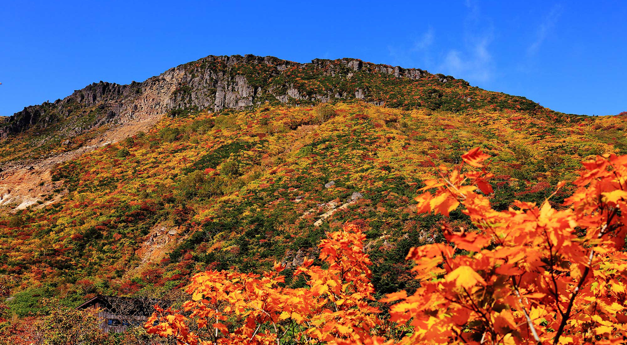 風景1