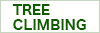 Tree Climbing / ツリークライミング